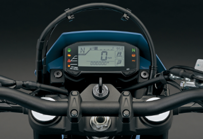 LCD instrument panel